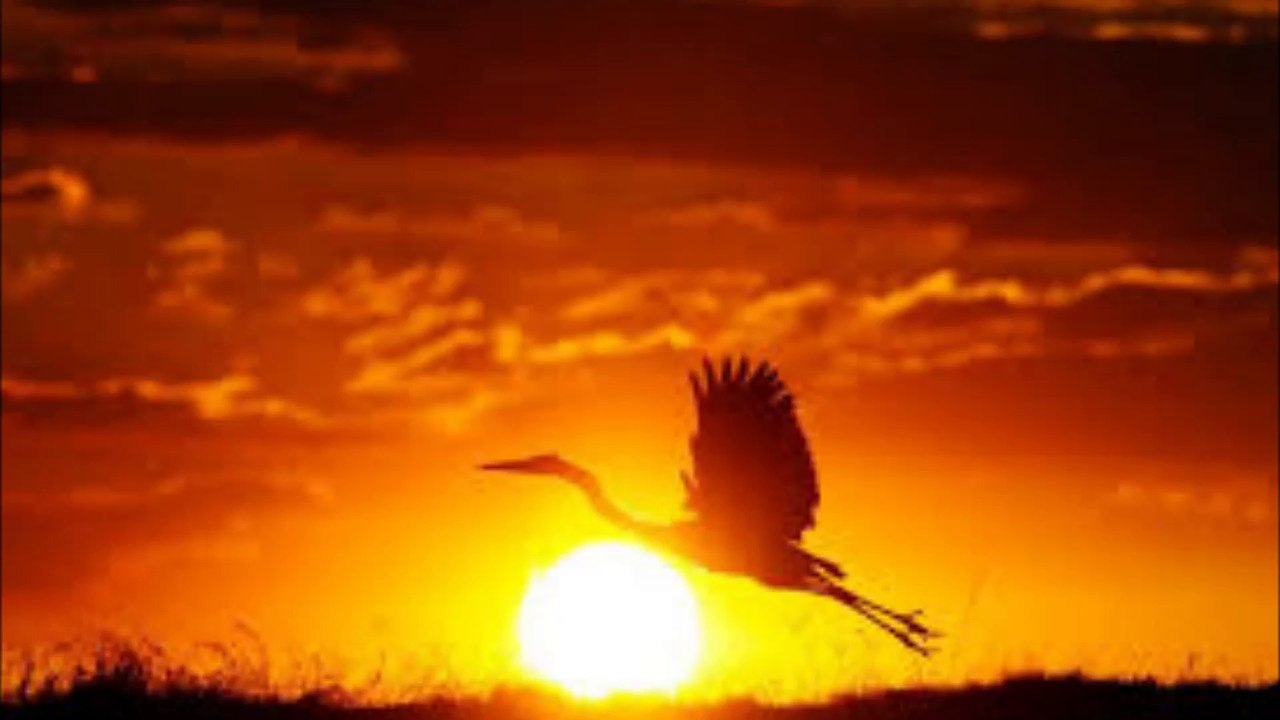 Novalis Deux - Setting Sun