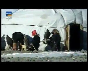 kartal ın kurt avı