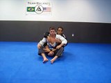 Beginners and Teachers Welcome: Ten Basic Brazilian Jiu Jitsu Techniques