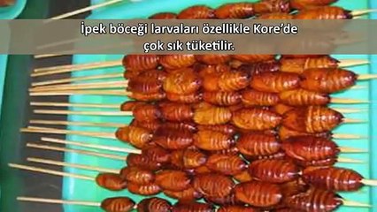 İnsanların Yediği En İğrenç 10 Hayvan