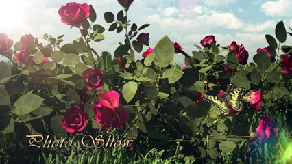 1 - Naziya and Imrans Wedding - Introduction video