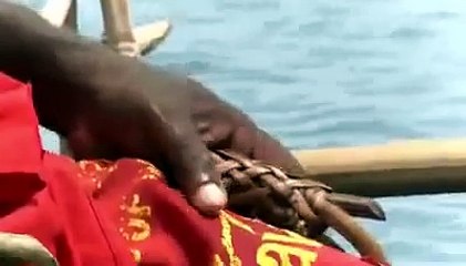 Köpek Balığı Avı