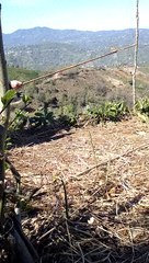 atmaca yakalama nisan