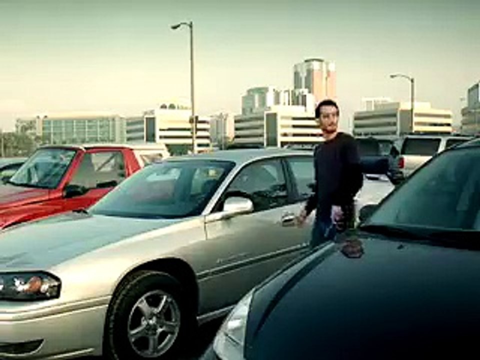 car thief catched by monkey