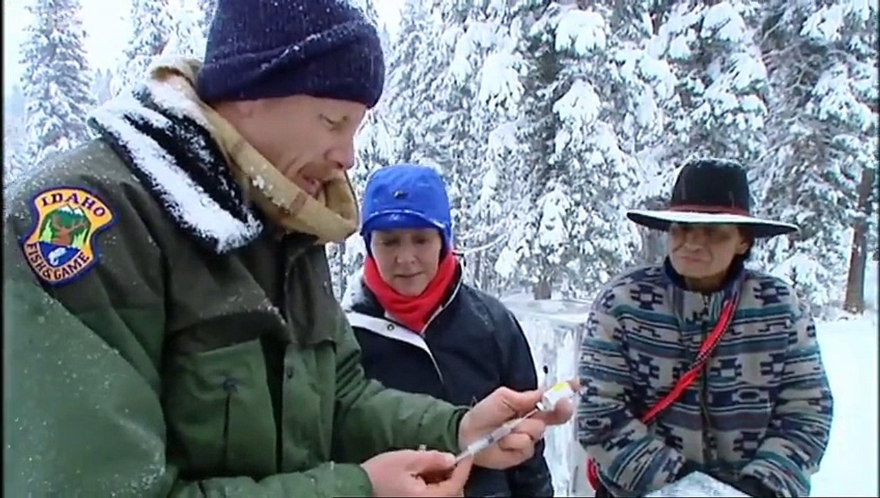 Native American Blesses Bear Returning to Wild - Born To Be Wild  Black Bear Rescue