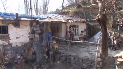 Ödünç Aldığı İneğin Sütünü Satarak Ailesine Bakıyor