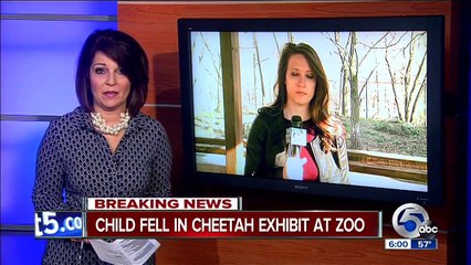 2-year-old falls into cheetah exhibit at Cleveland Metroparks Zoo, in stable condition