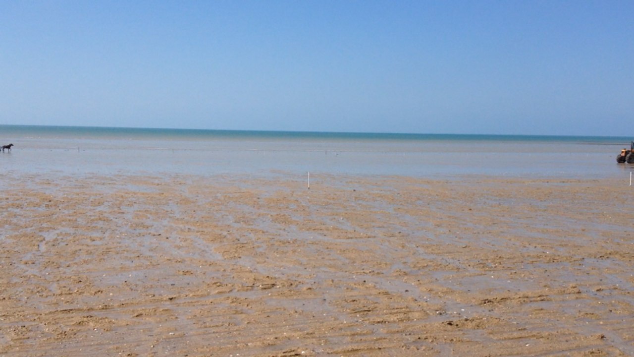 Jour de courses sur l'hippodrome marin