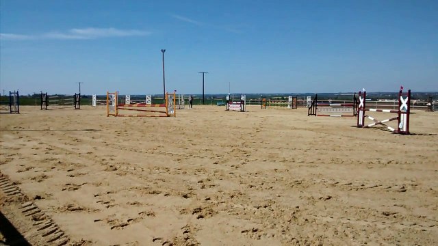 Blacky - Cso Bel Air - Poney E1 - SF