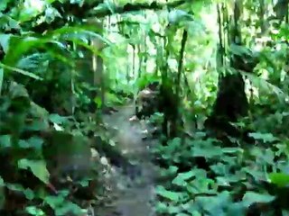 Video herunterladen: Parque Nacional Volcán Arenal, Costa Rica