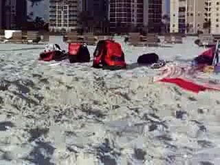 #WTF Voici comment attraper une mouette