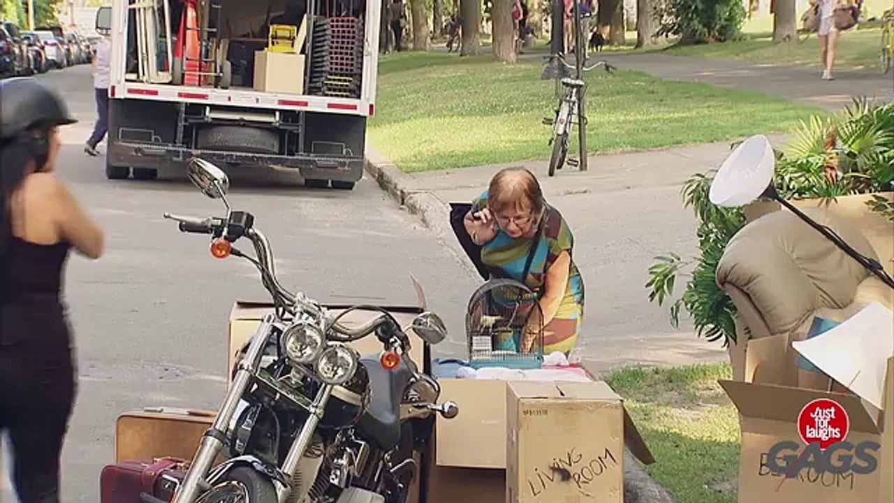 Drop Dead Bird Prank_