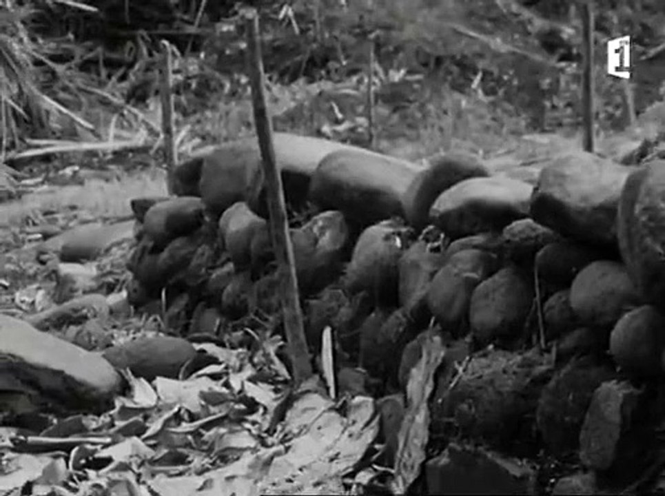 ARCHEOLOGIE EN POLYNESIE DANS LES ANNEES 70