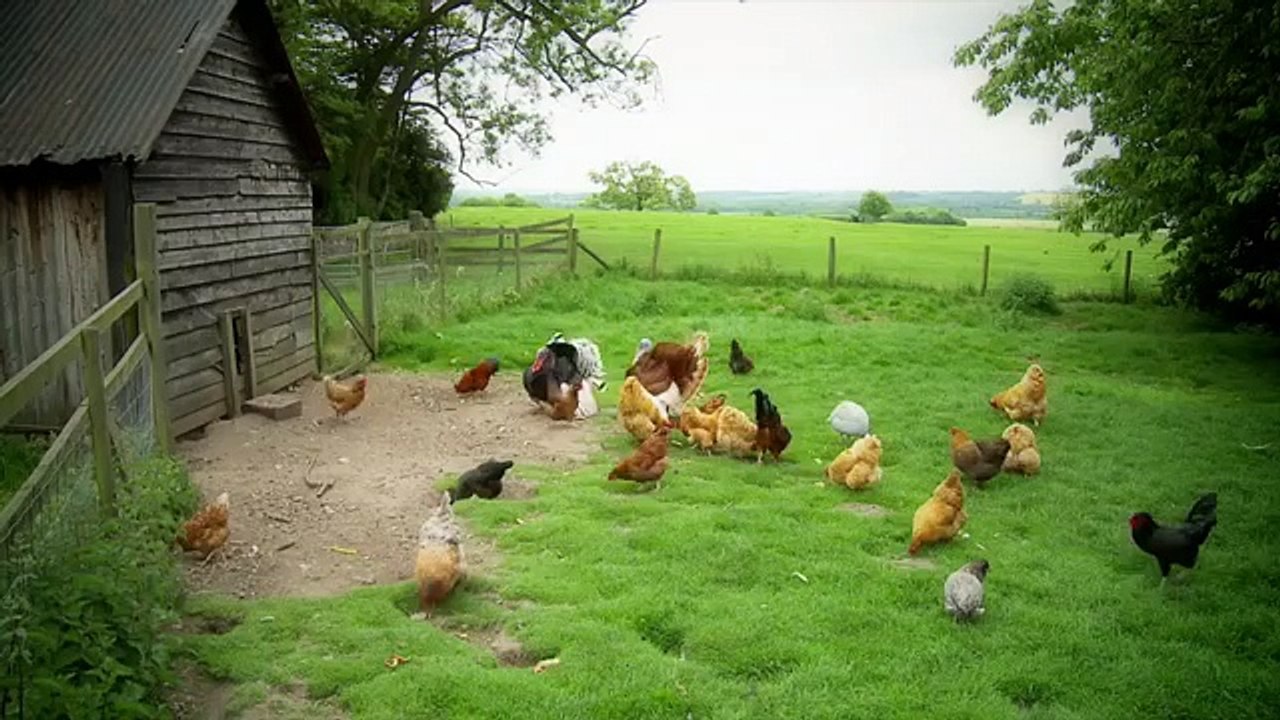 Sunday - A Week With Fergie - Little Grey Fergie - Gråtass