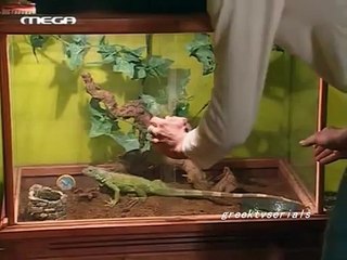 Lazaros-Stella Ti kanei o mitsos+lathos pizza ~Eisai to tairi mou~