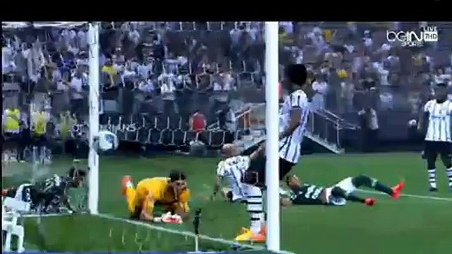 Corinthians v. Palmeiras 2-2 Rafael Marques goal