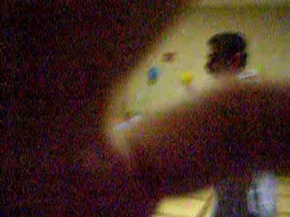 que de bons moments entre amis