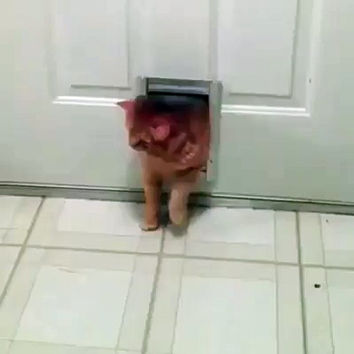 jajajajajaja