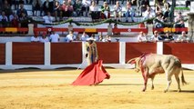 Cáceres 19 abr 2015