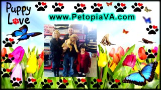 Pet Supplies Culpeper VA | Petopia | 866.738.7972