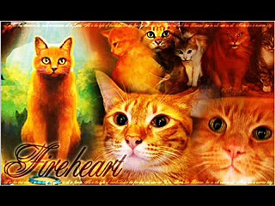 Warrior Cats Video - I Will Remember You