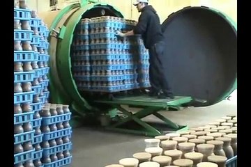 Automated Mushroom Cultivation