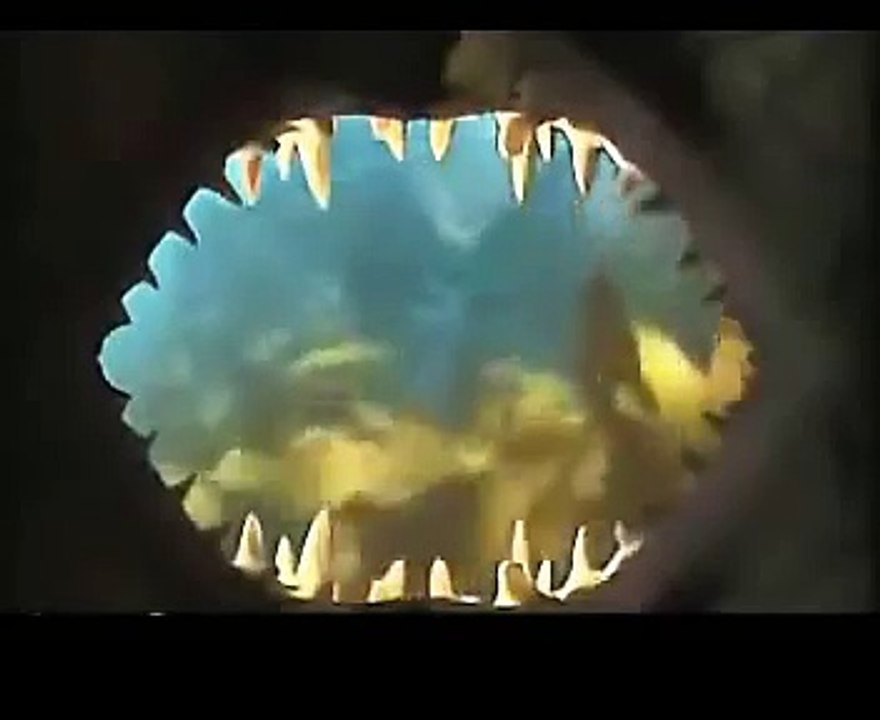 funny shark attack