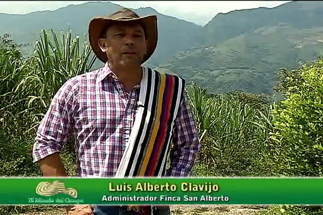 14 de abril de 2015 Cria de mulas