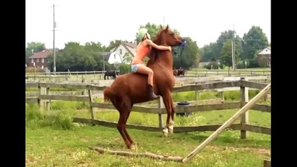 ARE U CRAZY - Horse fails/falls/fun