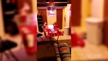 Drunk Fails and Unlucky People Compilation
