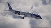 A decorated Boeing R2-D2 way