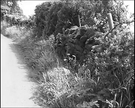 Handbags & the Gladrags - Rod Stewart