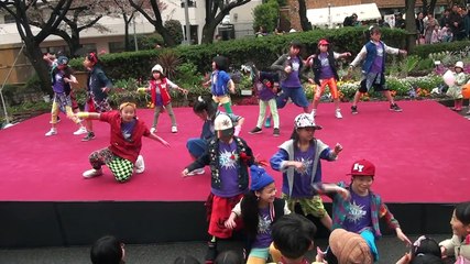 宮崎台 第19回 ふる里さくら祭り スキップカンパニー 水曜クラス