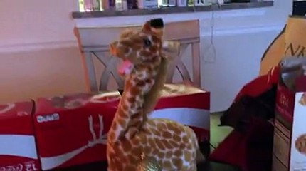 Girafe Effrayante 🦒