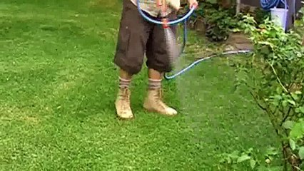 Lawns and extreme heat | Heat tolerant grasses