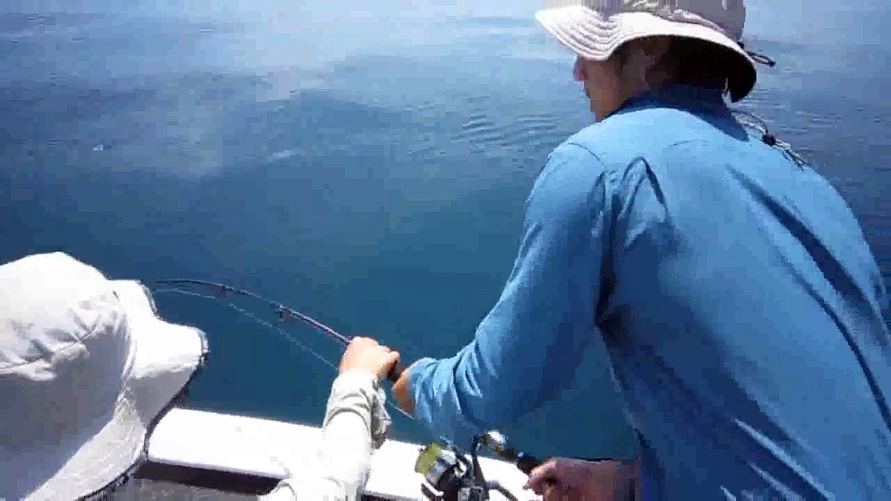 Shark Attack Caught On Video