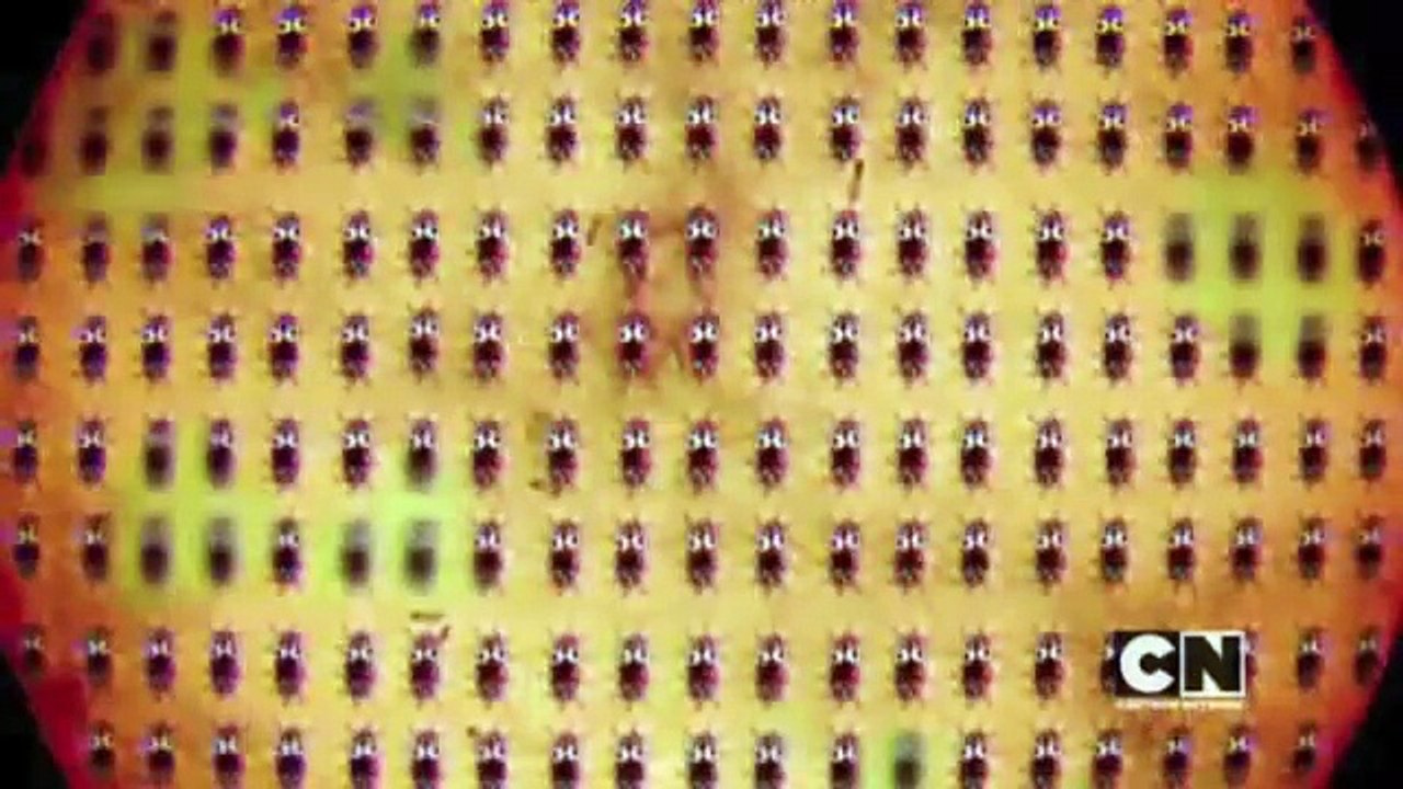 Documentario sulle cellule