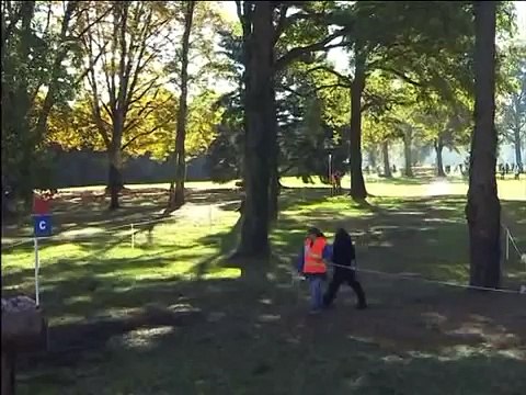 EQUITATION cheval cross**