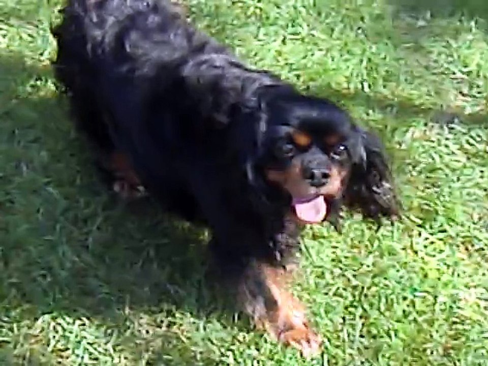 Au jardin week end avec les copains