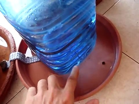 How To / DIY / Homemade : Self Irrigation / Watering bottle with hole for plants easy, Drip