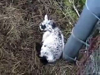 All Saints - I Feel You