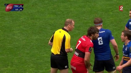 Toulon-Leinster interrompu par un chat