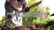 SOILS ESSENTIAL TO A SUSTAINABLE PLANET – RONALD VARGAS, FAO