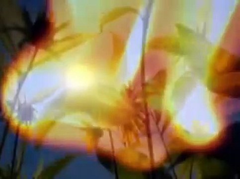 Enciende una Luz - Marcos Witt