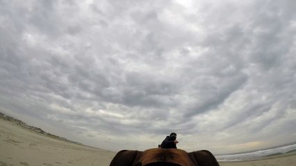 Un chien filme une demande en mariage avec sa GoPro