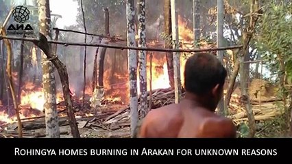 أراكان اليوم أخبار باللغة الإنجليزية-ANA Weekly English News - Monday 20 April 2015