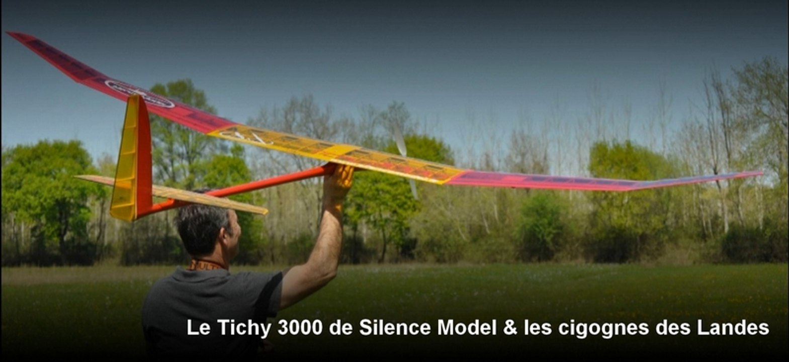 Le Tichy 3000 de Silence Model & les cigognes des Landes