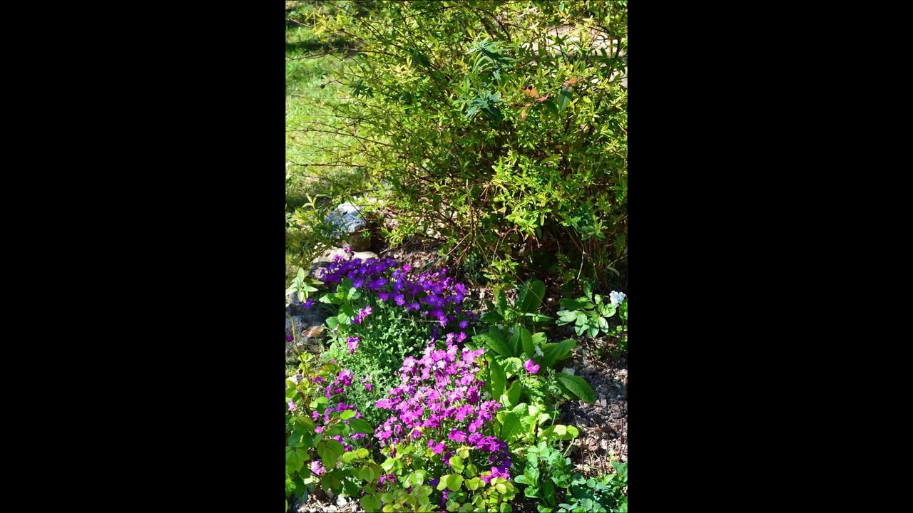 Mon jardin