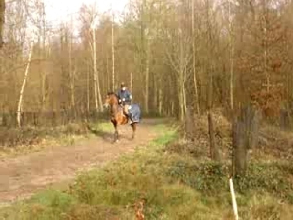 Balade 21.2.2007=> Galop rassemblé Nep'