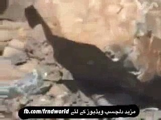 Maulana Tariq Jameel Bayan About Music Listeners_19